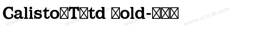 CalistoMTStd Bold字体转换
